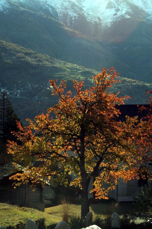 Hotel Alpenblick Zeneggen Exteriér fotografie