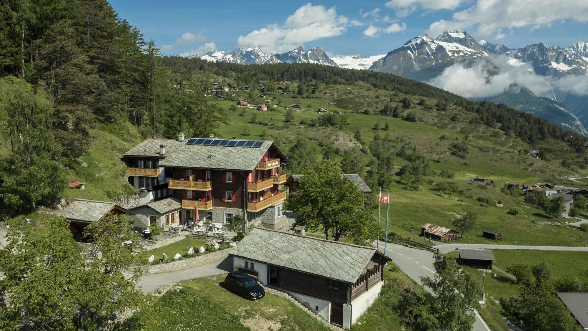 Hotel Alpenblick Zeneggen Exteriér fotografie